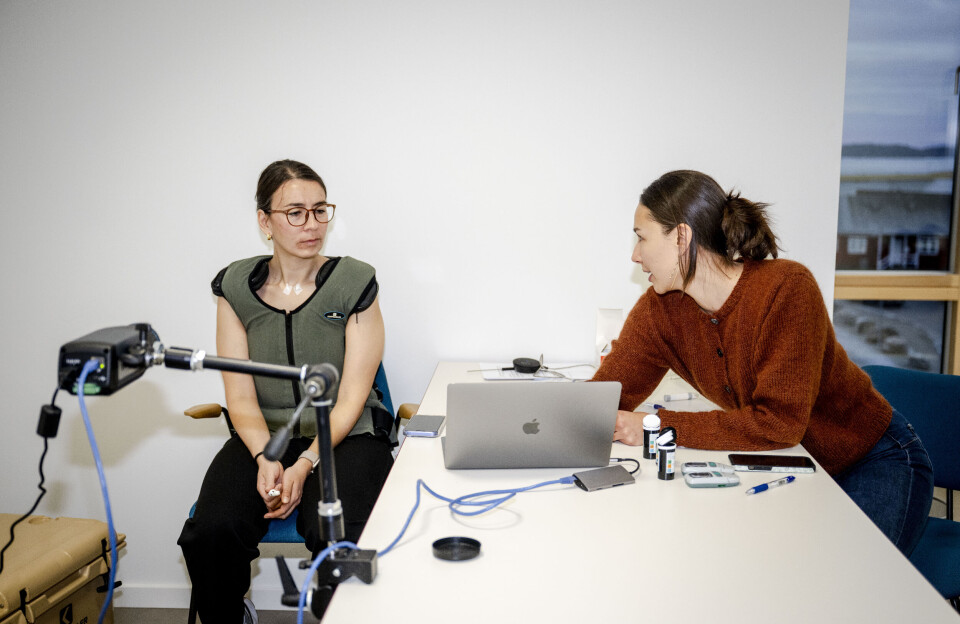 Forskerne jagter det brune fedt i Grønland