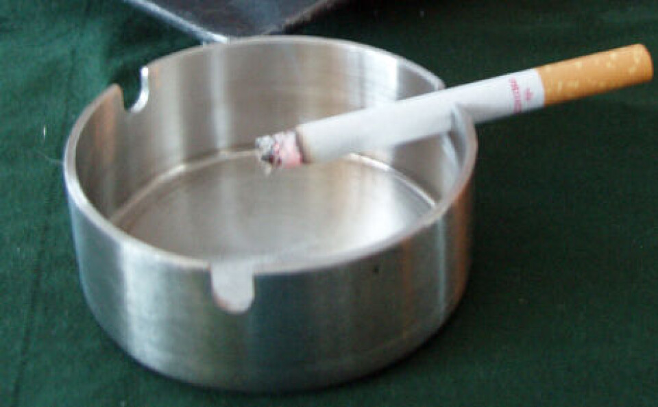 Der er ingen regler for, hvad producenterne må komme i cigaretterne, og der er ingen kontrol af, hvilken effekt tilsætningsstofferne har. Foto: Sermitsiaq
