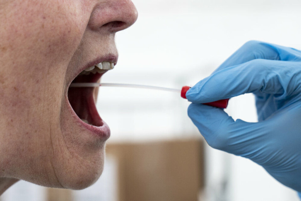 Der er kommet svar på yderligere 204.881 PCR-test det seneste døgn, viser tal fra Statens Serum Institut (SSI). 1074 af dem er positive for coronavirus. (Arkivfoto)