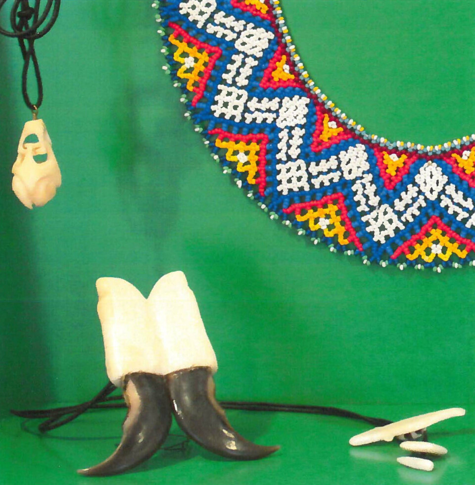 Prinsgemalens amulet stjålet