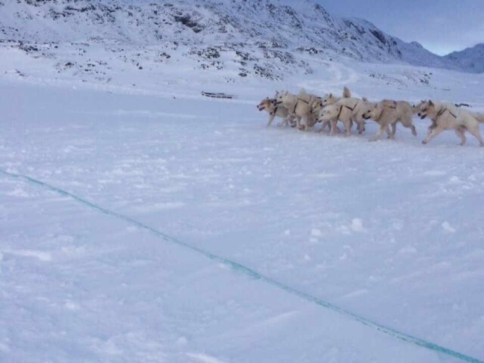 Et borgermøde i Sisimiut endte i flere løsningsforslag, som foreningen vil kigge på og eventuelt tage videre, fortæller forkvinde Susanne Berthelsen. Qimusseq Sisimiut