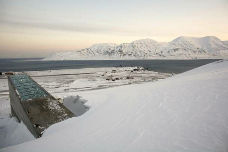 Med frøkasser til møde i den frosne bank på Svalbard