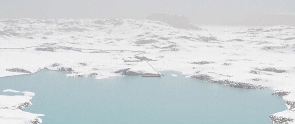 Ny direktør i London Mining Greenland