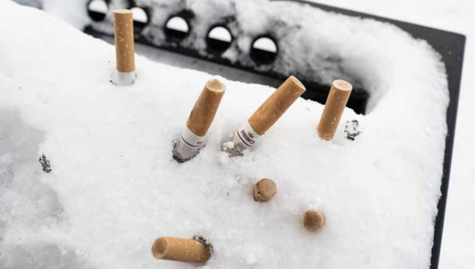 Undersøgelse: Cigaretskodder i naturen er et problem