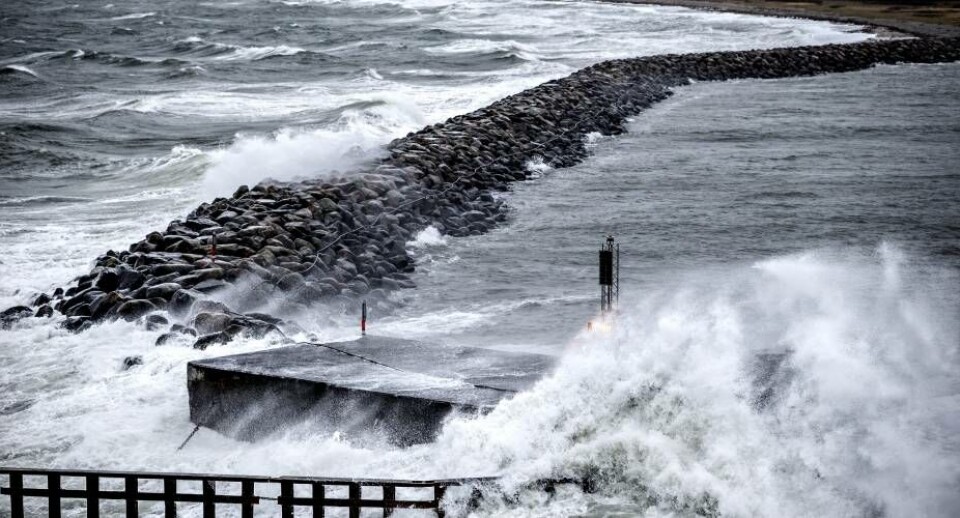 Jyllands-Postens fotograf, der er på vej til Aarhus, tog dette billede torsdag klokken 12.25 dansk tid ved færgelejet på Sjællands Odde, inden han gik om bord på færgen