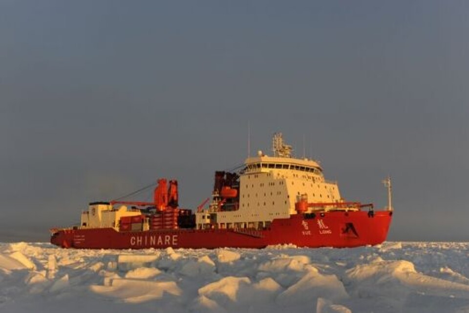 Det første kinesiske skib nogensinde - isbryderen Xuelong eller Snedragen - når Atlanten via Arktis. Foto: sciencepoles.org
