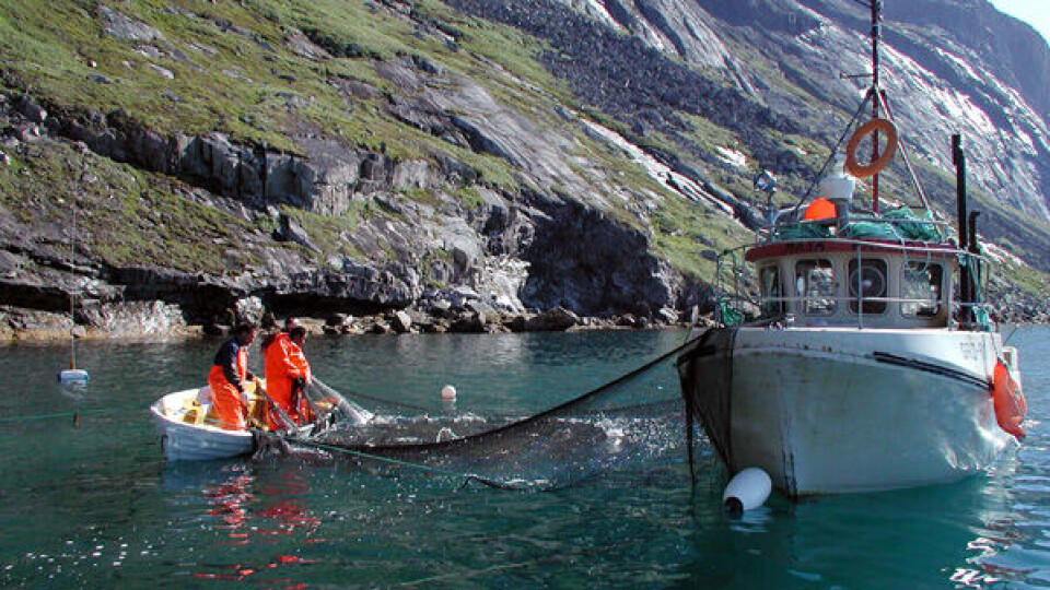 Ujarneq Fleischer ilitsersuisartutut nunatsinni ilisarisimaneqalerpoq sarsuatitap 'Tikeq, qiterleq, Mikileraq, Eqeqqoq' Taseralimmi aamma Katuami siorna nuannarineqaqaluni takutinneqareernerata kingorna. Maannakkut takutitassiarissavaa aalisartut silaannaap allanngoriartornerata nalaani ulluinnarni inuuniarnerat. Assiliisoq: Leiff Josefsen