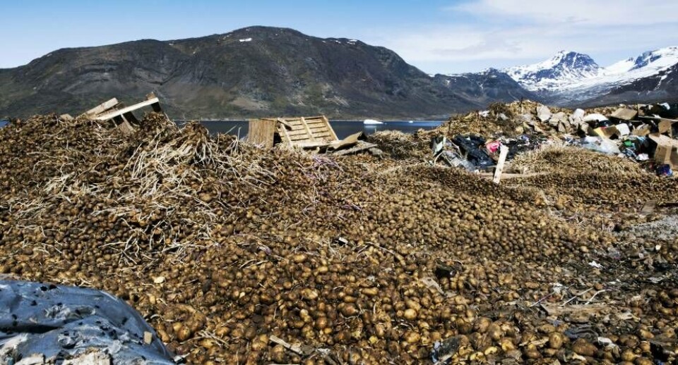 Der blev for nyligt smidt over 20 tons kartofler ud fra høsten i 2019.