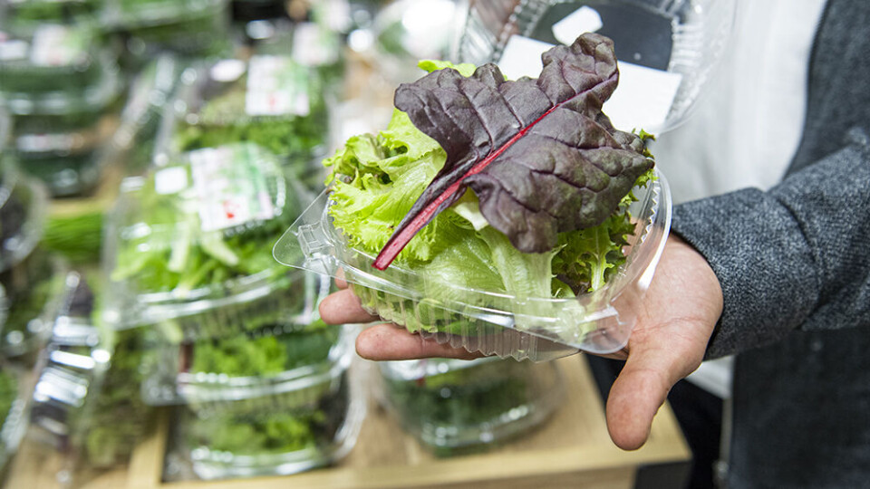 Greenlandic Greenhouse nomineret til miljøpris