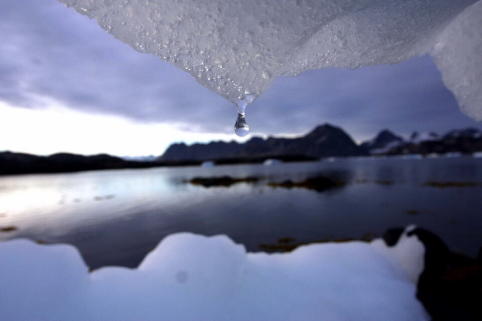 Temperaturen i områder dækket af havis er minus 10 til 20 grader. Og det er væsentligt varmere, end det plejer