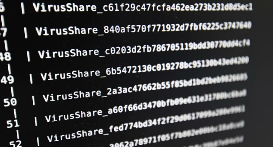 Grønland vil selv styre cyberforsvar