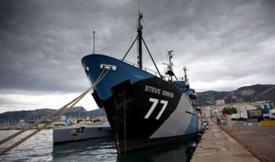Miljøorganisationen Sea Shepard er på Færøerne for at stikke en kæp i Færøernes historiske grindefangster. Foto: Sea Shepard