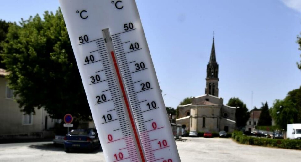 En hedebølge ramte i juli Europa. Flere steder - som her i det sydvestlige Frankrig - kom temperaturen over 40 grader.