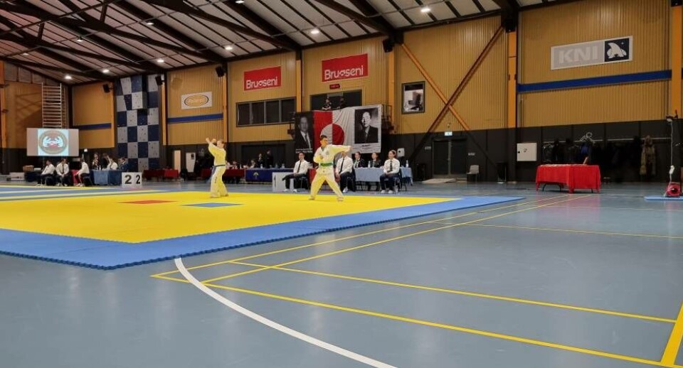 Aktuel billede fra dagens kampe. 120 Taekwondoudøvere, deres trænere, repræsentanter og andre aktører samlet i Paamiut og skal afvikle GM frem til lørdag.