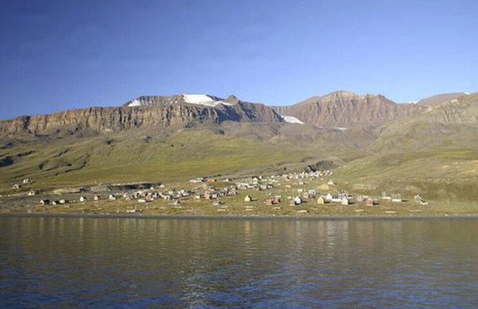 Trods risiko: Ok med sommertræf i Qullissat