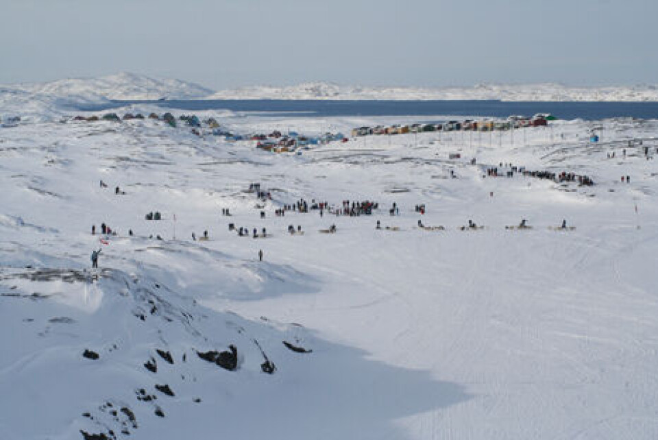 Væddeløbsområdet i Aasiaat i strålende sol. Vinder i Aasiaat, Jørgen Andersen. Nr. 2 Vinder i Qeqertarsuaq, Gorna Zeeb. Nr. 2 Jonas Lukassen. Væddeløbsområdet i Aasiaat i strålende sol. Vinder i Aasiaat, Jørgen Andersen. Nr. 2 Vinder i Qeqertarsuaq, Gorna Zeeb. Nr. 2 Jonas Lukassen. Væddeløbsområdet i Aasiaat i strålende sol.