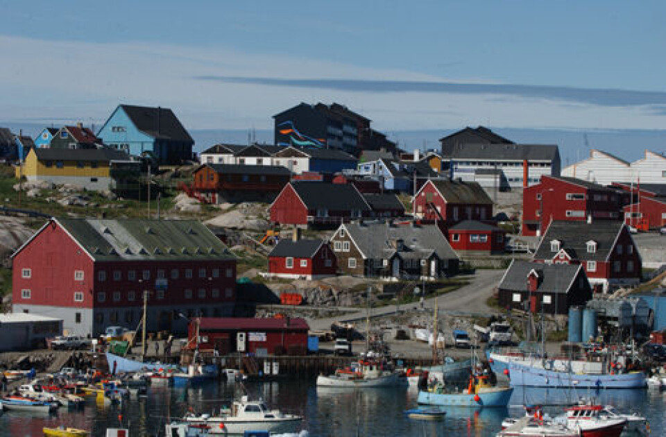 Ilulissat talittarfianiit angut 54-inik ukiulik nakkarnermigut Ilulissat Napparsimmaviani toquvoq. Assi: Jørgen Chemnitz.