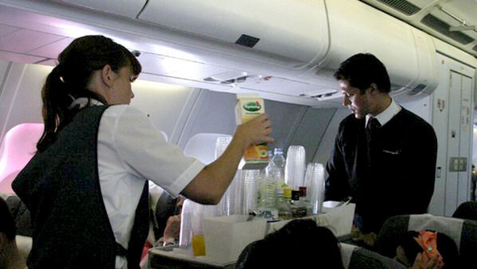 Kabinepersonalet er gået i fornyet dialog med modparten i Air Greenland. Foto Benny Kokholm.