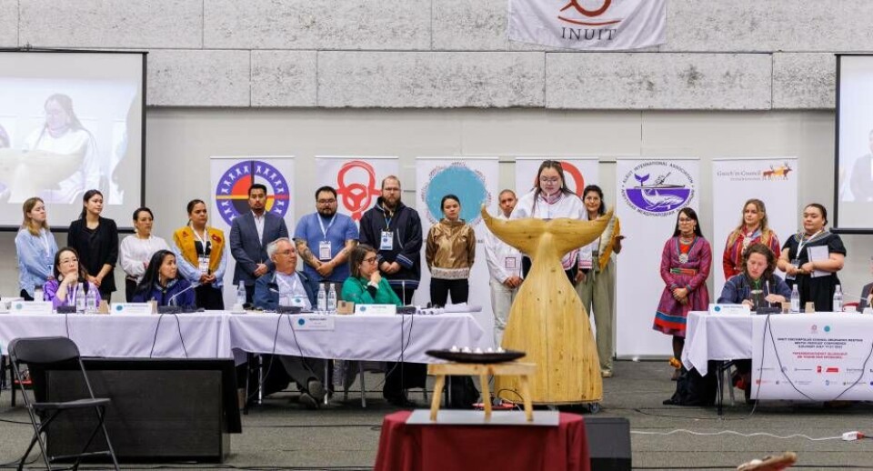 15 ud af 40 delegerede i ICC's konference i Ilulissat i juli er unge fra arktiske lande. Her bliver budskaberne givet videre.
