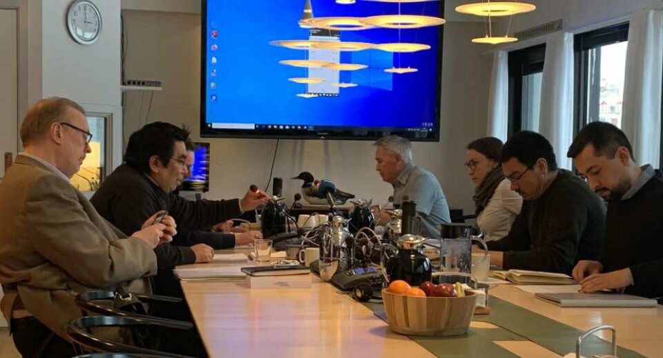 Skatte-rod: Uvildig advokat skal undersøge dele af lovens administration