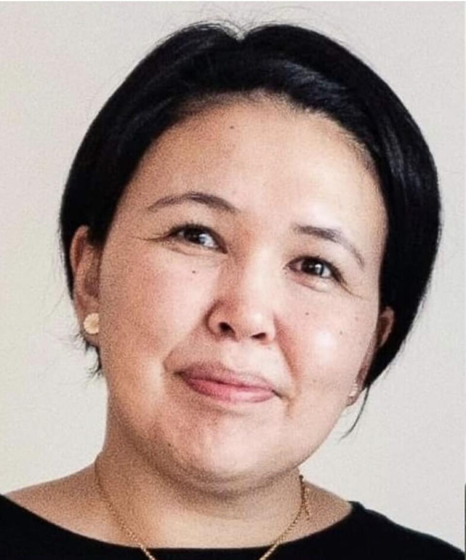 Den nye socialchef, Nielsine Petersen