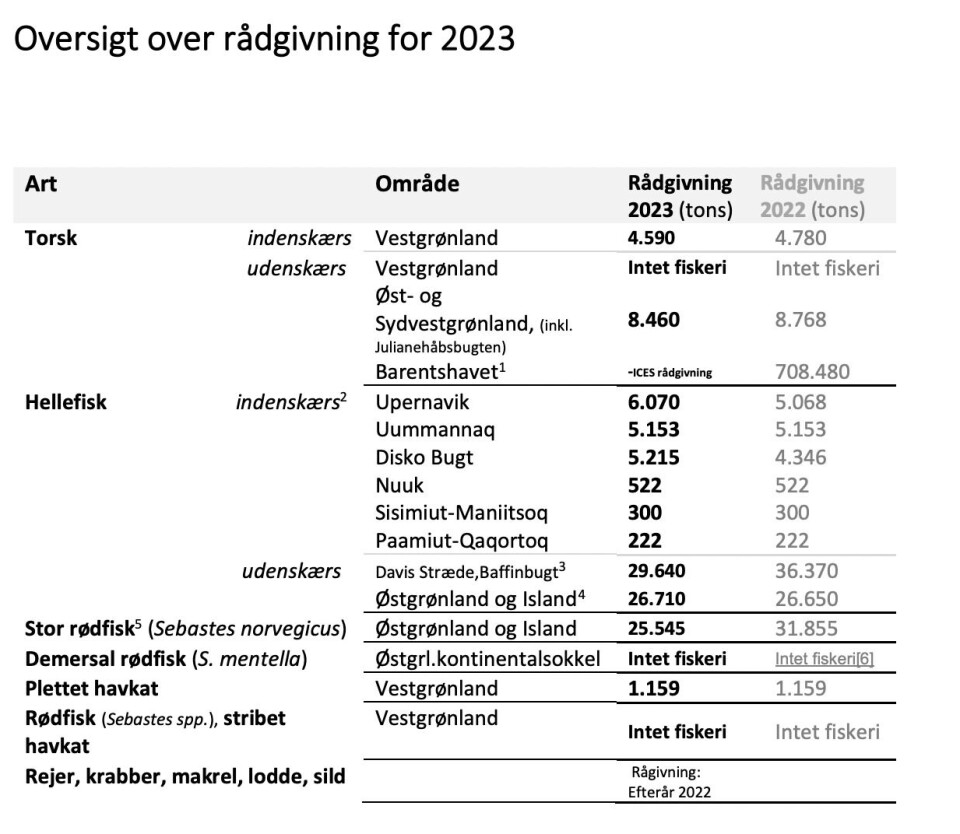 Kæmpe årgang vender udvikling: Der kan fanges flere hellefisk