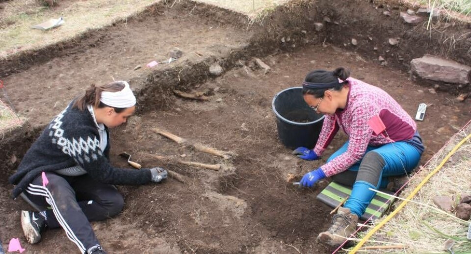 Fra de arkæologiske undersøgelser i 2019. De første – dårligt bevarede - skeletter er dukket op nær den nuværende overfalde. Meget jord er gennem tiden blevet fjerne fra kirkegården. Oprindelige har gravene været dækket af et ca. en meter tykt jordlag.