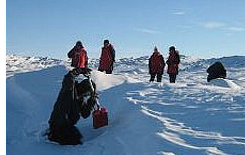 Overlevelseskursus i Kangerlussuaq