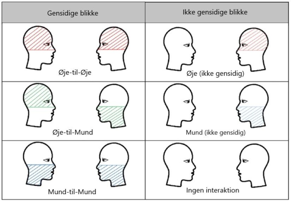  Den mest almindelige blikudveksling var det, forskerne kalder gensidig øje-til-mund-kontakt (på tegningen illustreret med grønt): Du kigger på din vens øjne, mens din ven kigger på din mund. 
