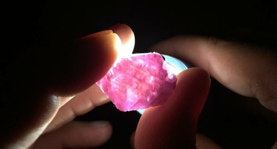 Småskalamineselskabet Greenland Minerals & Gem har nu solgt deres første rubiner