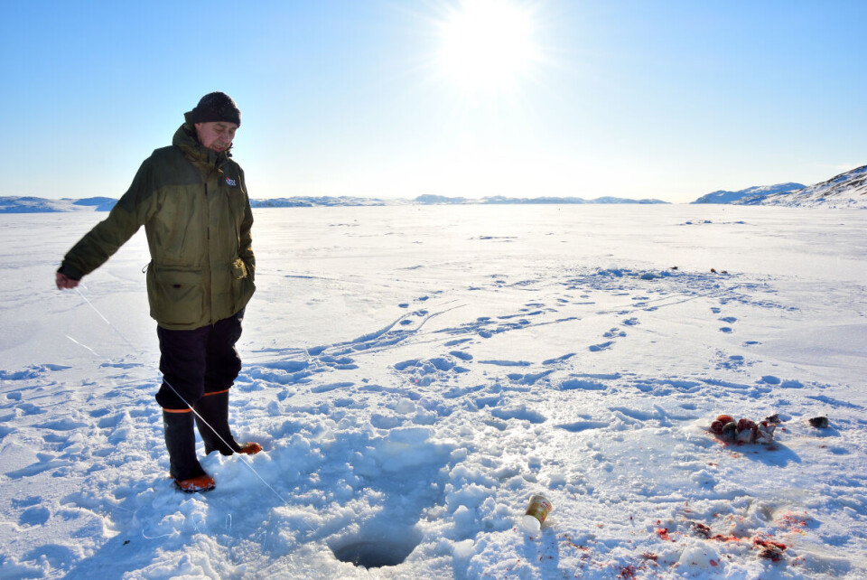 Arne Rafaelsen, 58 årige deltidsansat på fiskefabrikken i Aasiaat, nyder at bruge tiden til at fiske efter fjordtorsk på havisen ved Langesund, der ligger en gåtur nord for byen Aasiaat