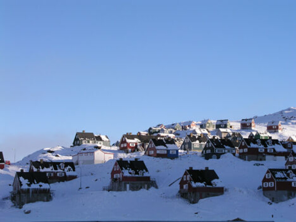 Uge 18 i Tasiilaq