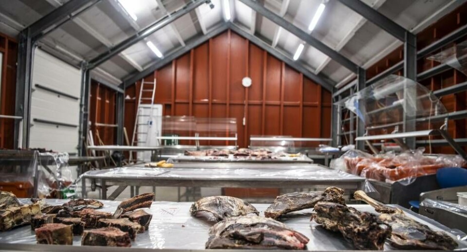 Chefredaktøren anbefaler: Stadig ingen forberedelser til hjemtagningen