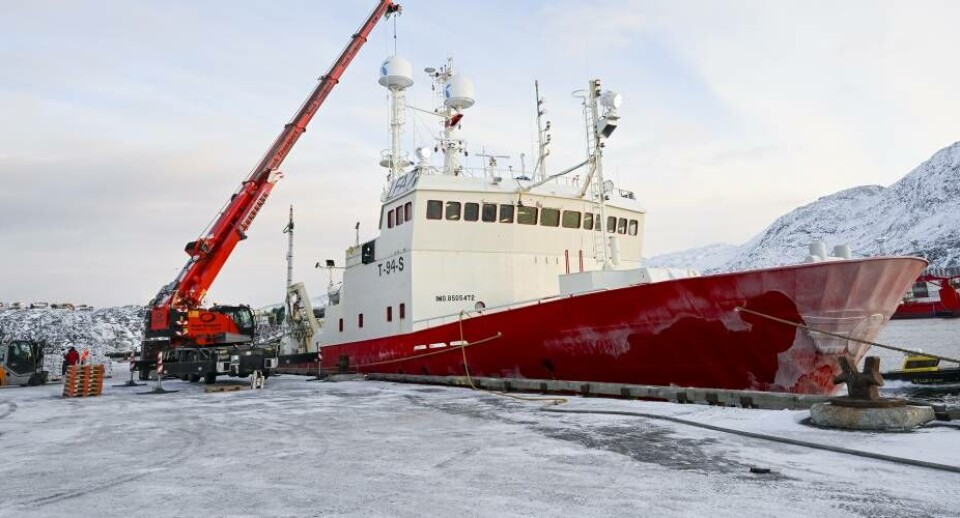 Norske Arctic Opilio lossede mandag i denne uge snekrabber til eksport i Nuuk. Krabberne er fanget i Grønland men eksporteres som norske.