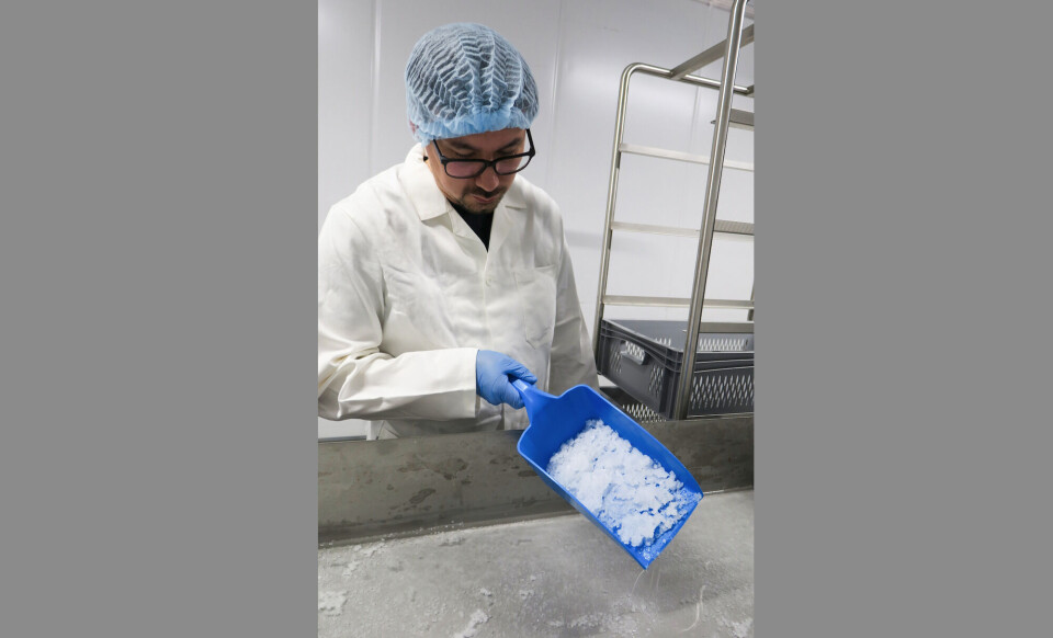 Napaartoq Petrussen er på nippet til at opgive den grønlandske saltproduktion.