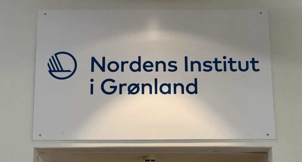 Nordens Institut i Grønland henter direktør i kommune