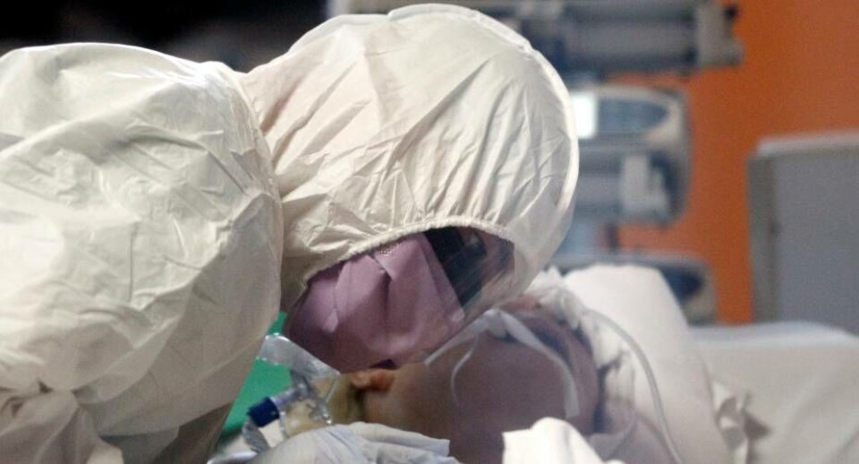 Trin for trin: Sådan kan coronavirus udvikle sig til at blive livstruende