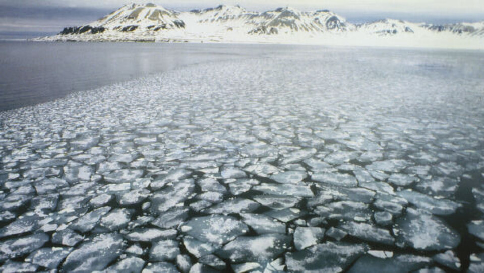 Den is, der er tilbage, er overvejende tynd, etårig is. Arkivfoto fra Svalbard: Polfoto/Ullstein Bild