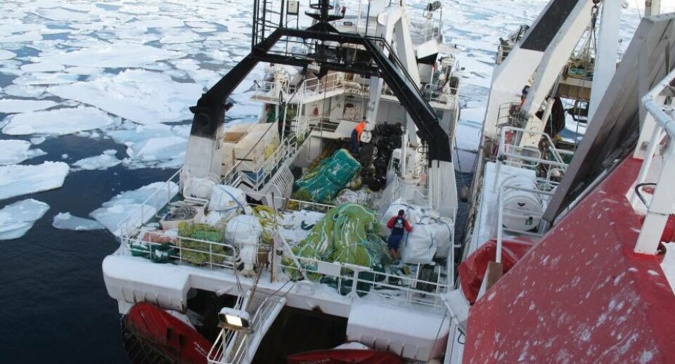 Fiskeriet har længe været Grønlands vigtigste erhverv. Sådan vil det også være fremover. Men vi venter stadig på en ny fiskerilov, der dog synes at blive vedtaget i år.