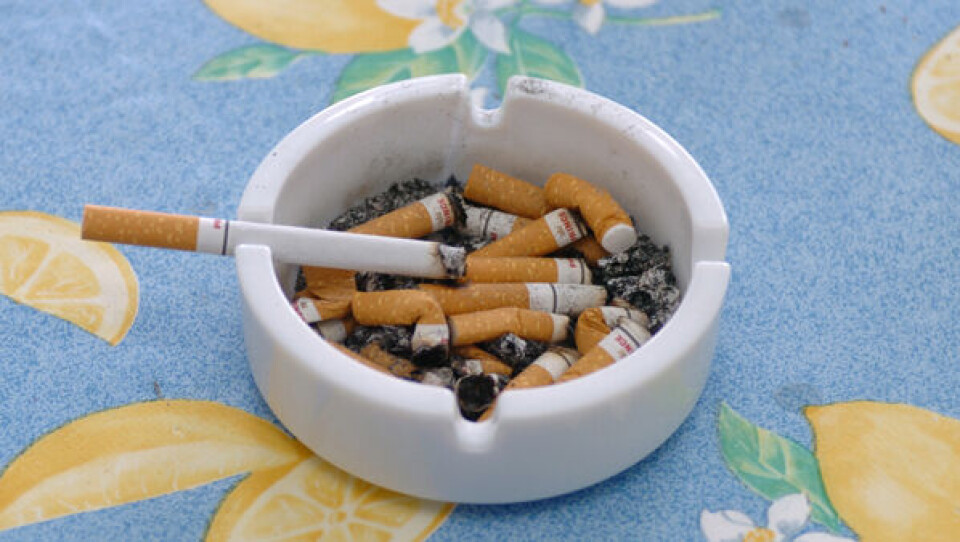 Grønland skodder cigaretten den 1. oktober. Foto: Leiff Josefsen.