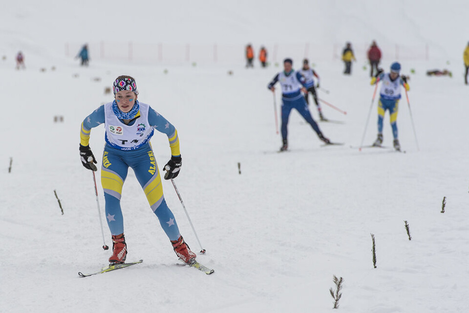 Skiene skal smøres. Startskuddet til GM i langrend er lørdag den 11. marts, hvor første disciplin er klassisk.