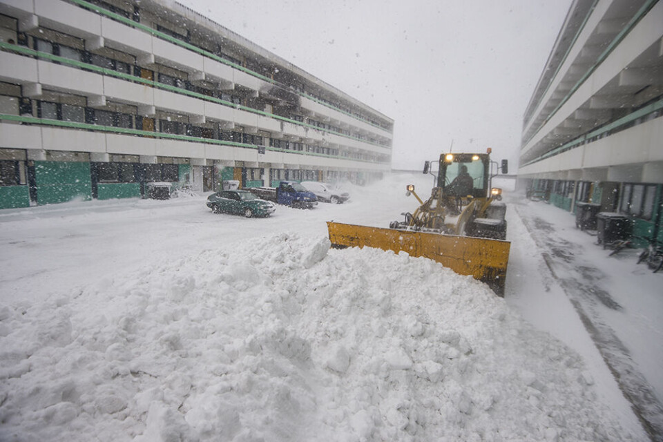 Man har i Nuuk haft travlt med at rydde vejene for sne i løbet af januar.