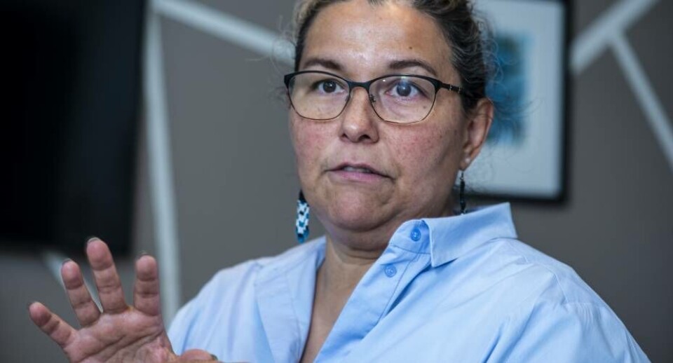 Formanden for folkeskolærernes organisation, IMAK, Elna Heilmann er dybt bekymret for børnenes og lærernes forhold og sender en advarsel til politikerne, der bliver ved med at kræve nye opgaver, mens de samme politikere nedprioriterer folkeskolen på økonomisk plan.