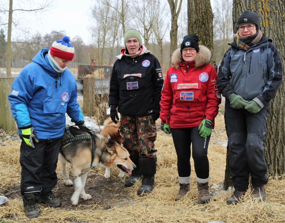 slædehundekørsel