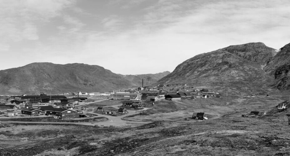 Narsaq, der ved indgangen til det nye år 1990 blevramt af en tragedie, da syv af byens unge blev skudt og dræbt med et gevær.