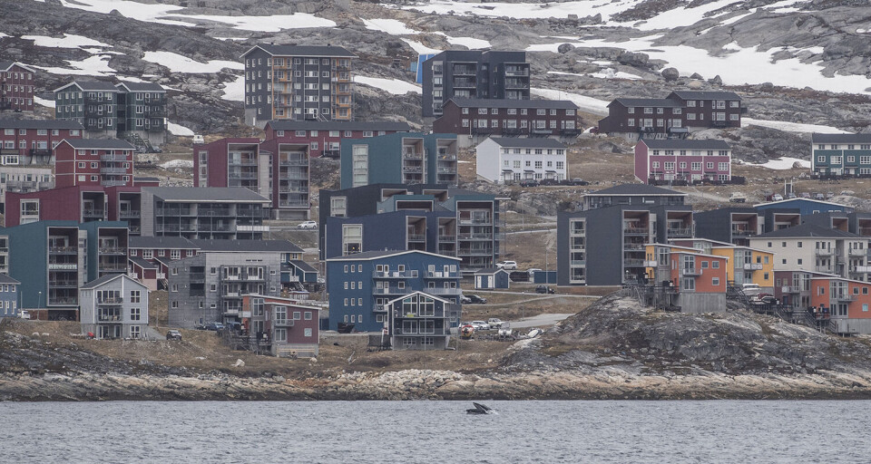 S: Fredning af pukkelhvaler er en fejl