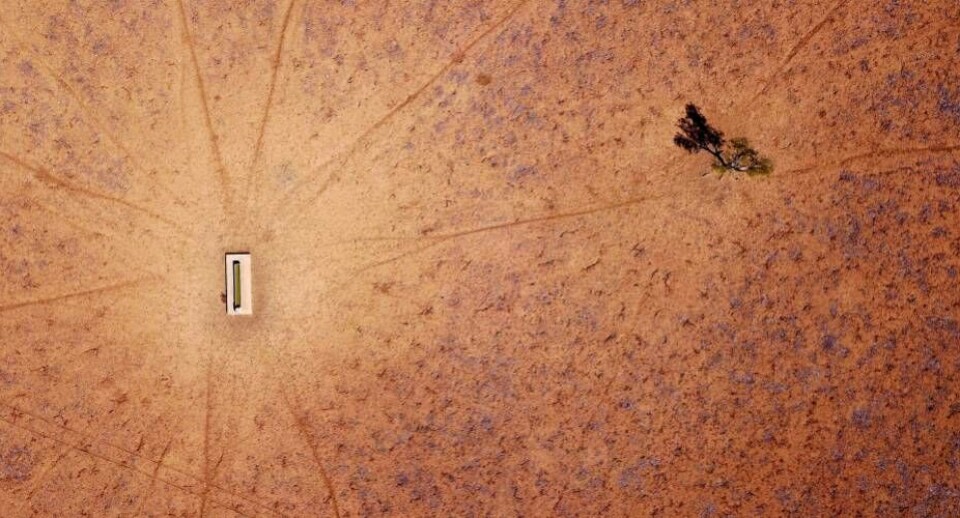 Byen Walgett i staten New South Wales i Australien er ramt af voldom tørke. Her ses et enligt træ i nærheden af et vandtrug.
