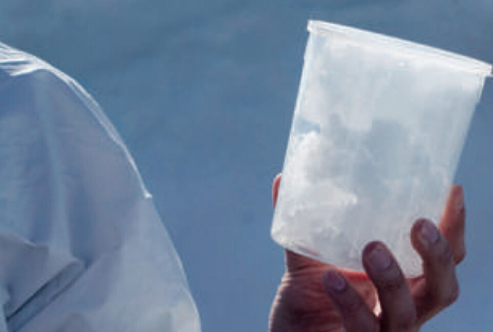Drikkevandet fra er fremstilletaf 10.000 år gammel is fra Ilulissat Arctic Ice Cap Water