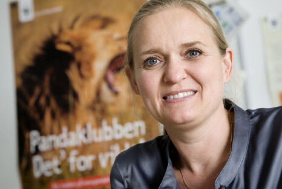 I forbindelse med sin tiltrædelse i WWF forlader Gitte Seeberg folketinget./ Gitte Seebergip WWF-imi atorfininnerminut atatillugu Folketingi qimassavaa.
