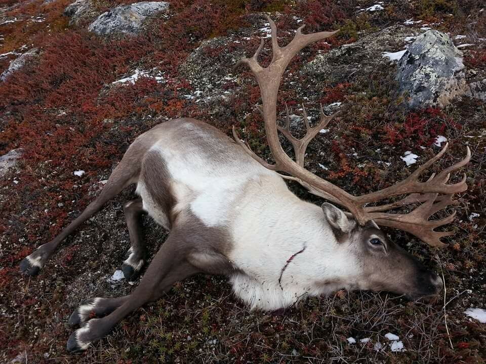 Rapport: Naturalieøkonomi gavner de rige